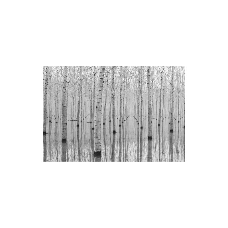 Wrapped Canvas Print, 50.8 cm H x 76.2 cm W