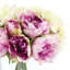 Hydrangea and Peony Floral Arrangement