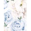 Papier peint mural Peony Flower-101185690