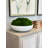 Vanora Preserved Moss Plant in Planter-1839579332