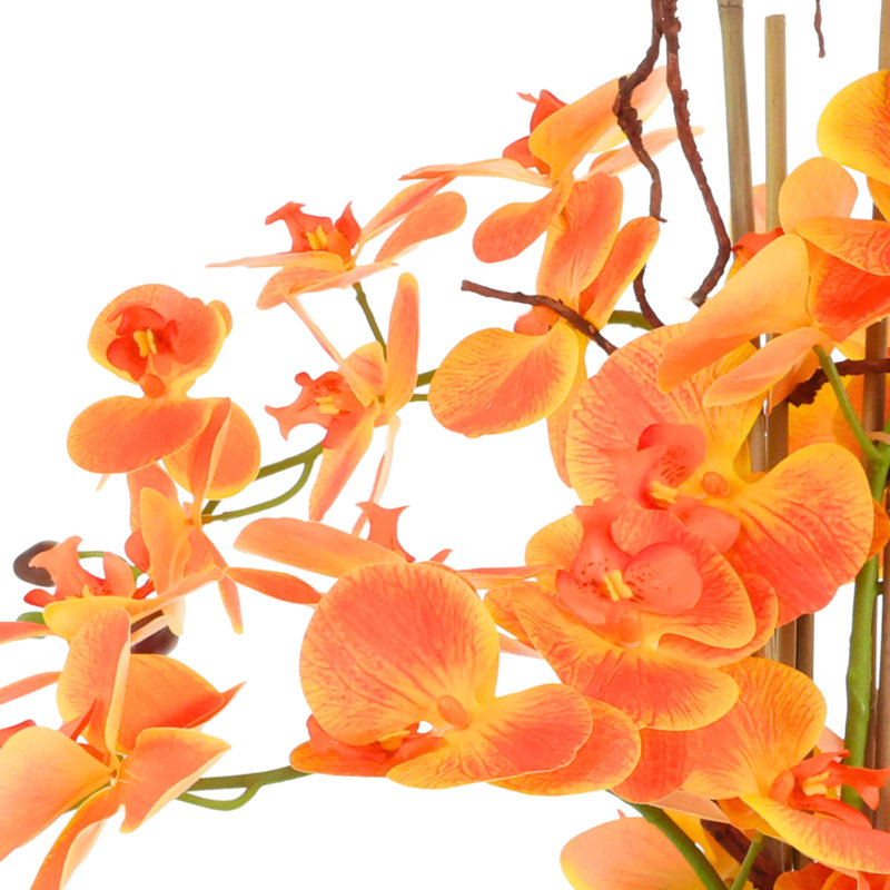 Arrangement d'orchidées en pot de corde