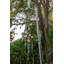 Pulsar 01 Freestanding Outdoor Shower with Hand Shower-111565221