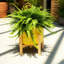 Pot de fleurs d'extérieur en céramique brillante sur support pour décoration intérieure - Pot de fleurs moderne et contemporain pour le salon ou le patio - Jaune-1188667233-1188667232