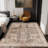 Living Room Rug 5x7 ft Light Brown Area Rug Machine Washable Rug, Non Slip Vintage Rug Stain Resistant Indoor Large Carpet for Bedroom, Boho Rug, Distressed Retro Floor Rug for Classroom, Dorm, Dining Room-2143052279