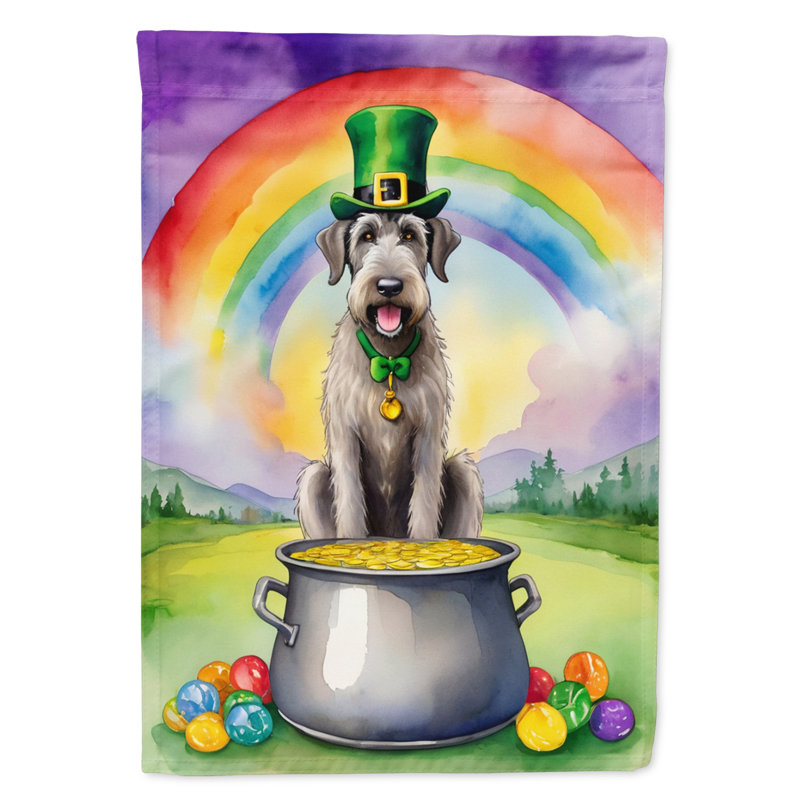 Drapeau double face en polyester H 40 po x l 28 po St Patrick's Day House