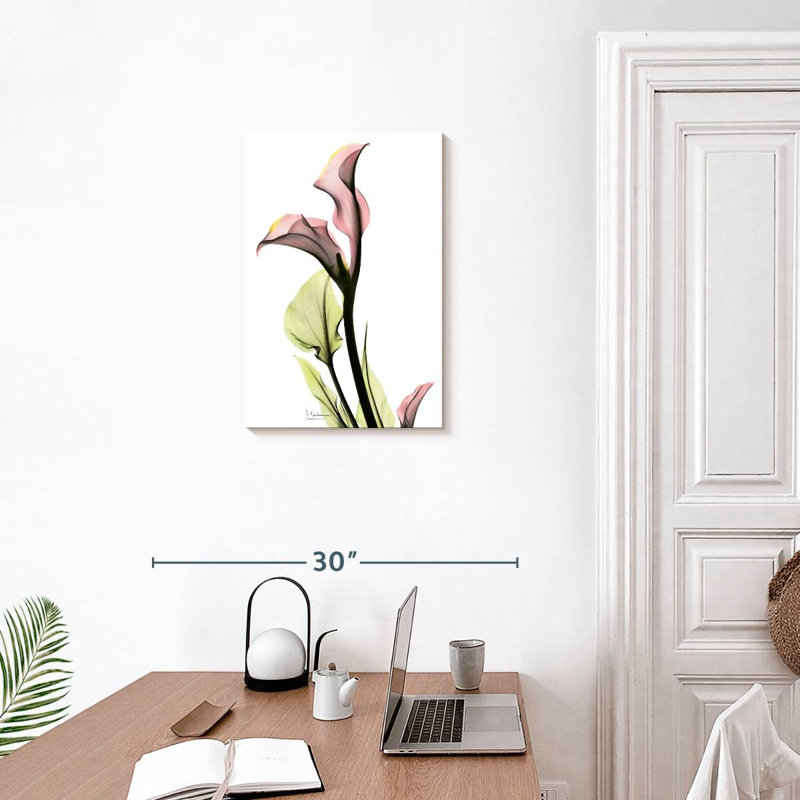 Harnek délicat, lis Calla, H 24 po x l 16 po
