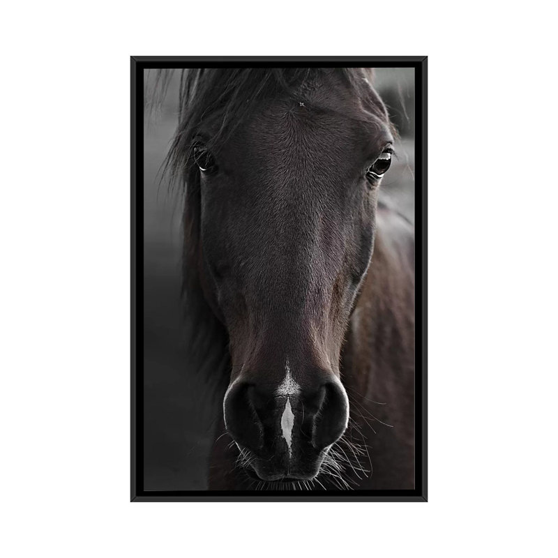 Imprimé cheval foncé par Monika Strigel, Pas de tapis, H 26 po x l 18 po x 1,5 po, Toile avec cadre noir