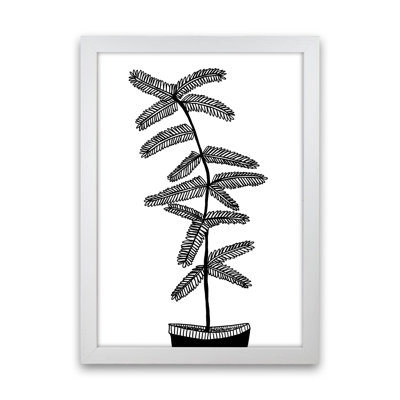 Mimosa by Carissa Tanton - Print