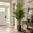 Artin 6'3" Artificial Palm Plant in Pot