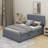 Full Size Velvet Upholstered Platform Bed With Twin Size Trundle-1476582063
