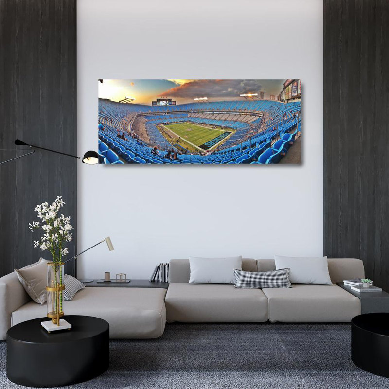 Bank of America Stadium, H 20 po x l 48 po