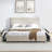 Cushioned Bed, Comfortable Cushioned Bed Frame, Headboard And Solid Bed Frame