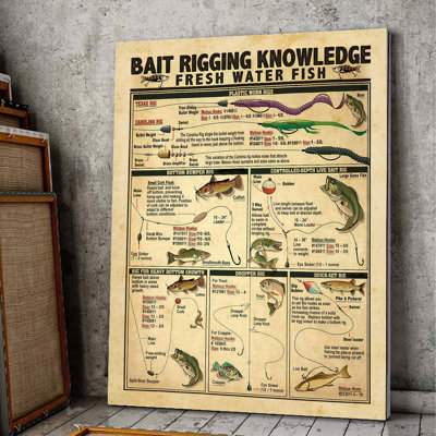" Bait Rigging Knowledge "