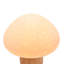 Tahlea Ceramic Table Lamp