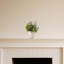 Arrangement floral en vase Artichoke