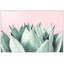 Abdirazaq Sweet Succulents - impression sur papier-820391090-808758029