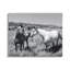 Deux chevaux, photographie par Steve Toole-106009159-93944342