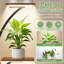 Plant Stand - Set of 10