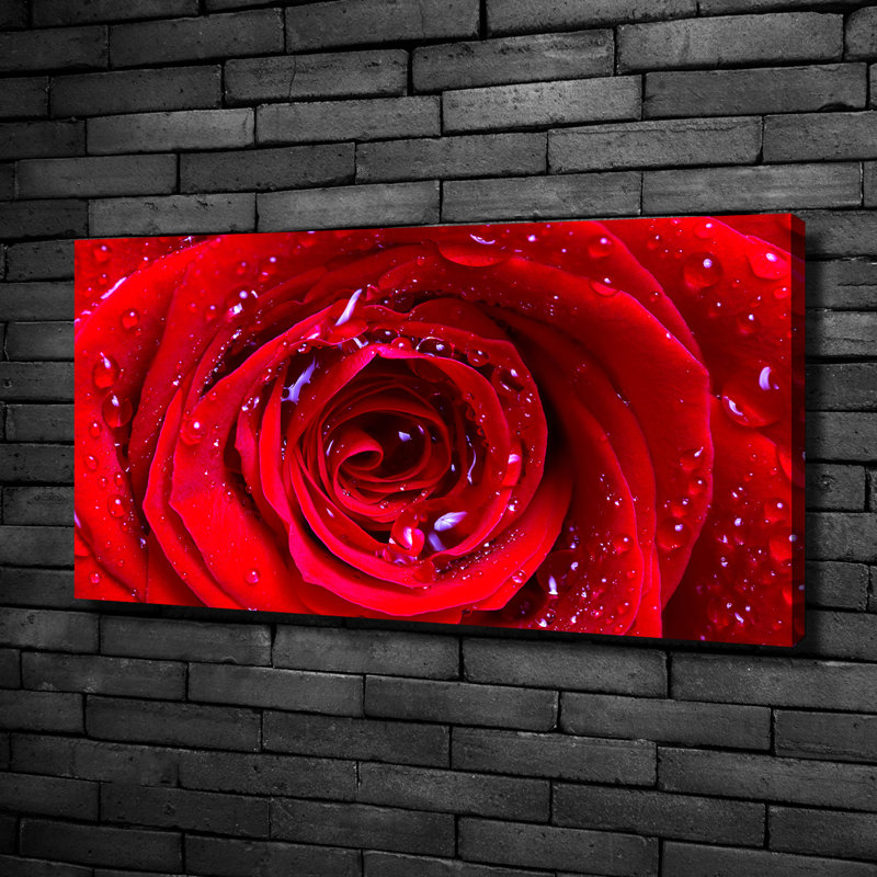 Rose Flower Wrapped Canvas - Art Prints, Canvas, 50cm H x 100cm W