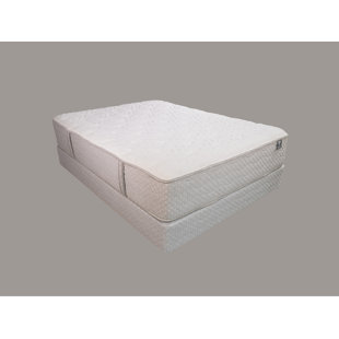 Peluche LYON