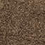 Tapis brun clair touffeté à la main Assar -23564257