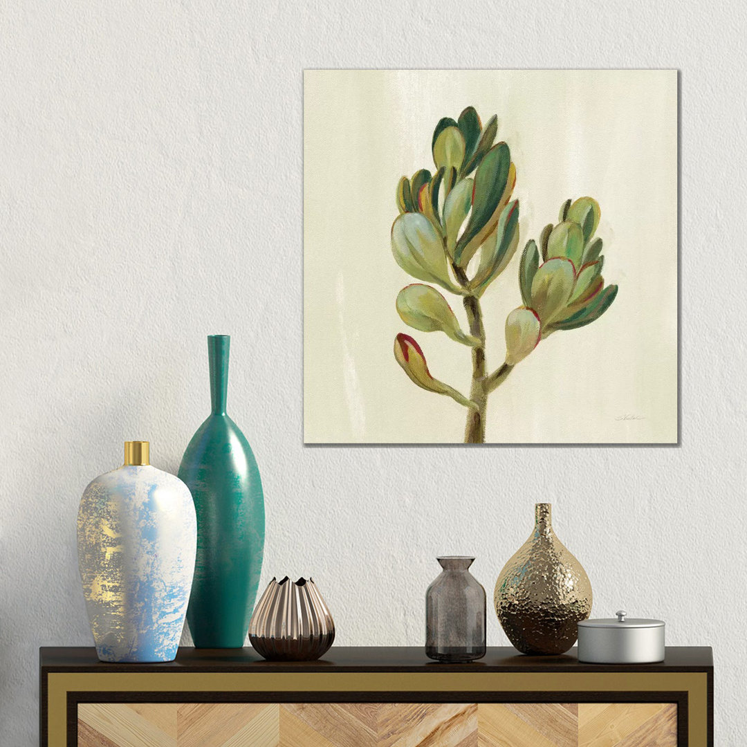 Front Yard Succulent II von Silvia Vassileva - Galerie-umwickelte Leinwand Giclée auf Leinwand