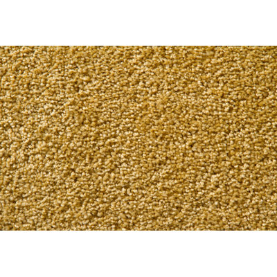Willenhall Solid Colour Area Rug