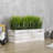 9.84'' Faux Grass in Solid Wood Planter-1729958227