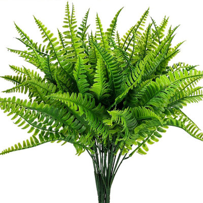 Fern Arrangement