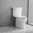 Hand Held Bidet-102585265