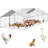 225 Square Feet Chicken Run with Chicken Run