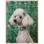 «The Floral Adorned Poodle» par Keyshanna, reproduction d'art sur toile encadrée-856448209