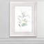 « ethereal eucalyptus ii »-impression du cadre sur verre-316484353-316484415
