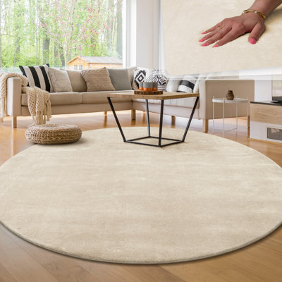 Fernald Uniform Color Shag Area Rug