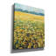  «Sunflowers» par Jadei, impression sur toile 20 po x 24 po-1425173102