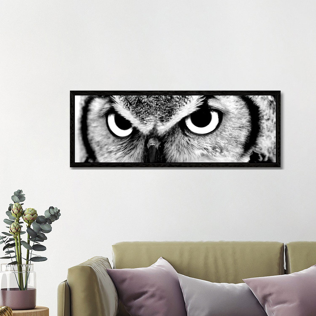 Leinwandbild Owl Eyes von PhotoINC Studio