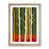 Oak Framed selected