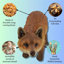 Fox Polyresin Garden Statue