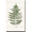 " Fern Print I (Vertical) "-65864252-65864253