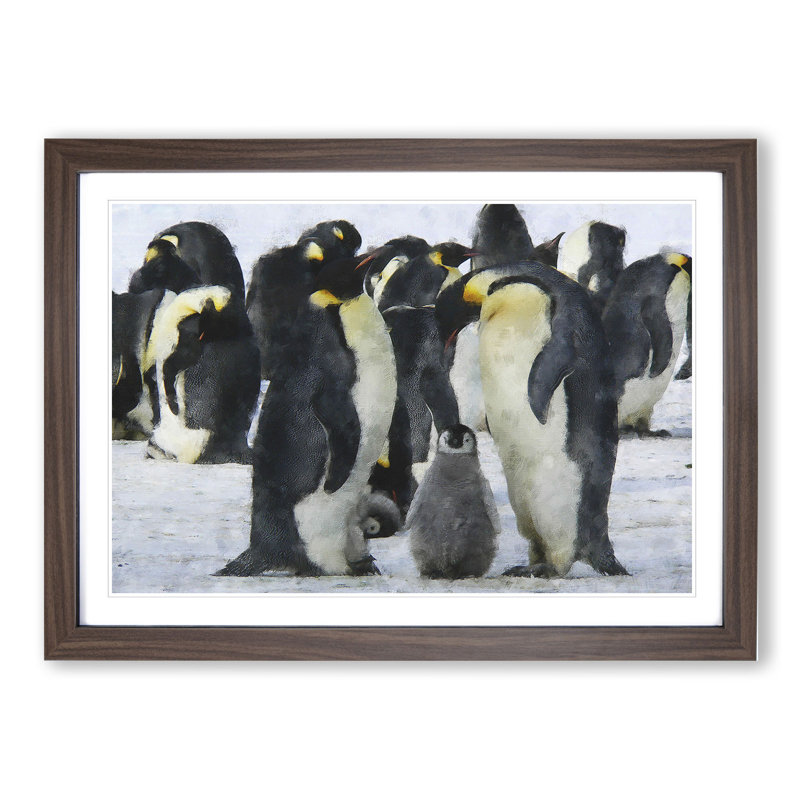 Emperor Penguins - Picture Frame Graphic Art, Walnut Framed, 27cm H x 36cm W x 2cm D