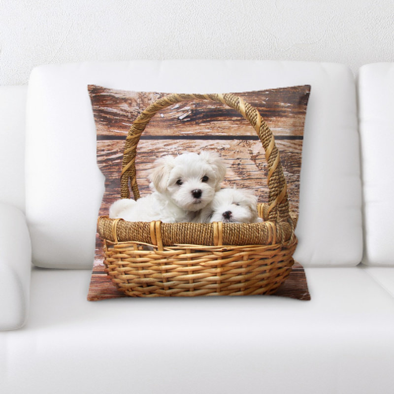 Coussin pour chien