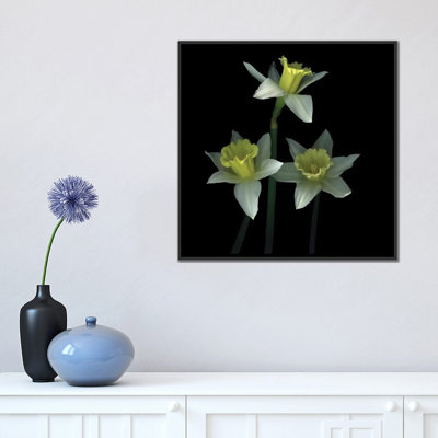 Trio des las trompetas, reproduction de photo sur toile tendue