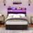 Bejo Metal Storage Bed Frame with LED Light and Charging Station-92634671
