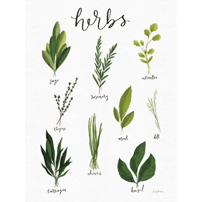 " Herbs I White Crop " by Becky Thorns Mixed Media Print