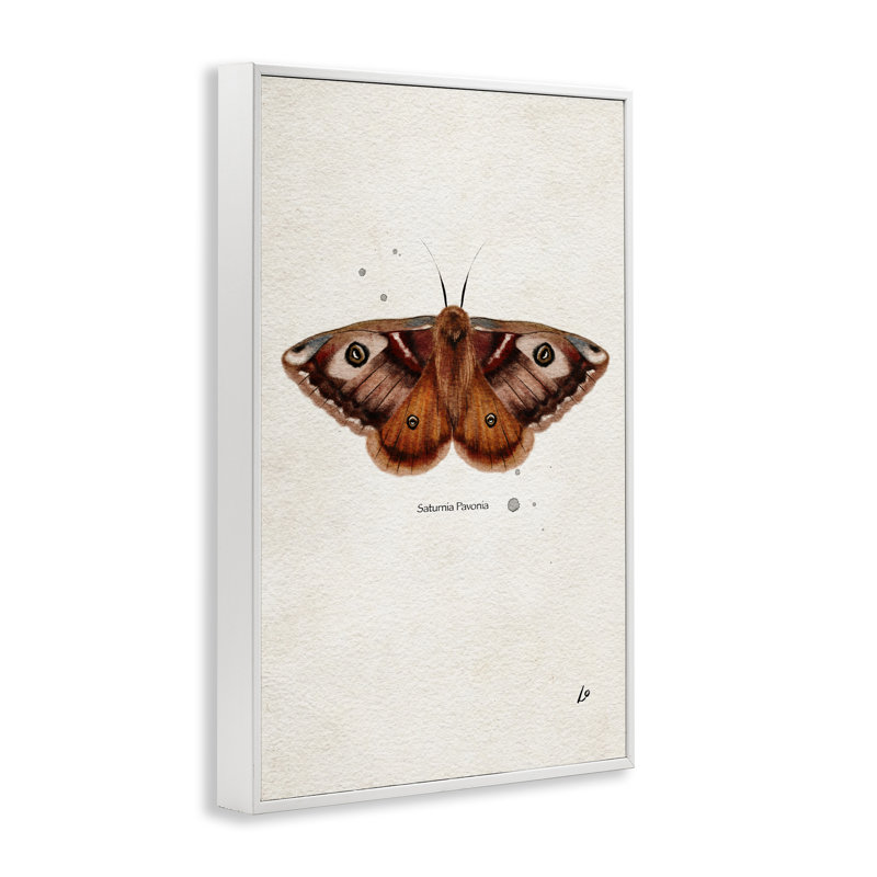  Art de giclée encadrée scientifique jaune par Lydia , H 24 po x l 16 po, Estampe numérique encadrée blanc bord de mer
