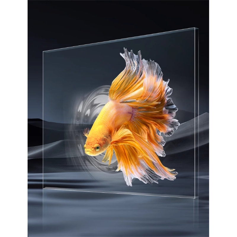 Réservoir d'aquarium rectangulaire, 36,70 gallons (H 19,68 po x l 10,62 po x P 11,81 p