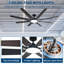 Ceiling Fan-1629712561