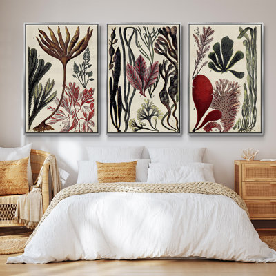 " Coral And Seaweed Montage I " 3 - Pieces