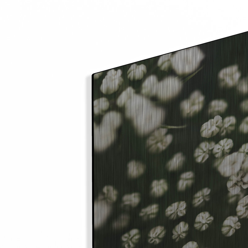 Petites fleurs blanches par Tom Quartermaine, H 12 po x l 12 po