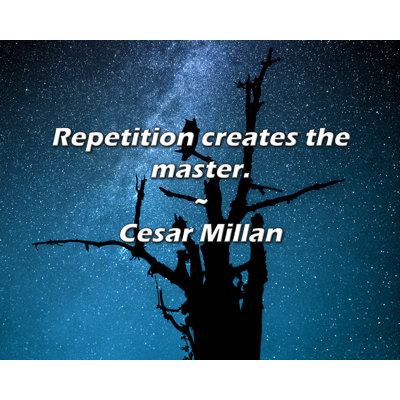 Cesar Millan Quote: Repetition creates the master.